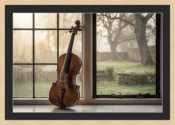 Violin By The Window