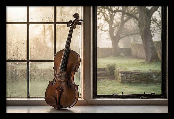 Violin By The Window