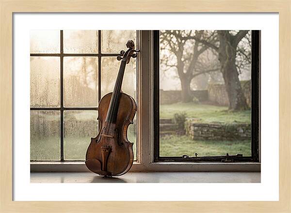 Violin By The Window
