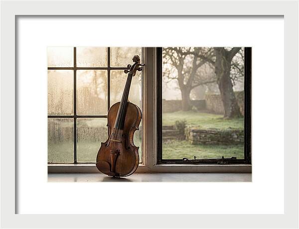Violin By The Window