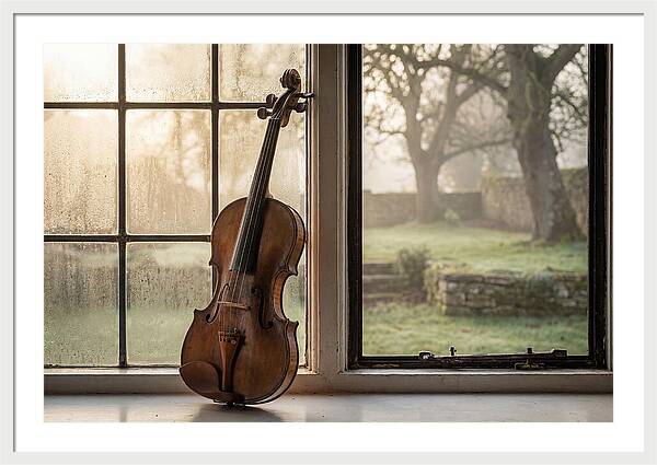 Violin By The Window