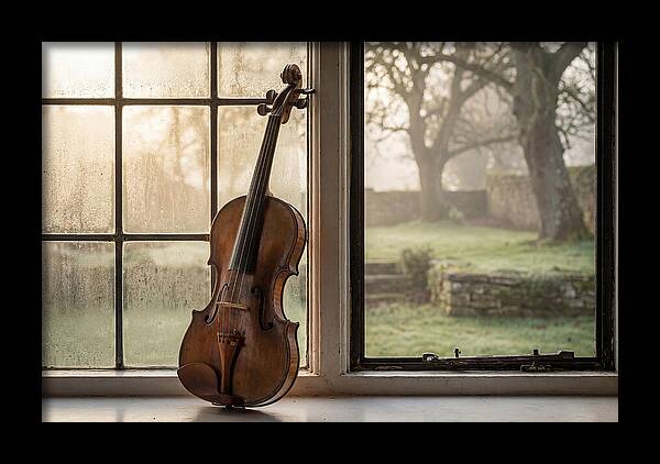 Violin By The Window