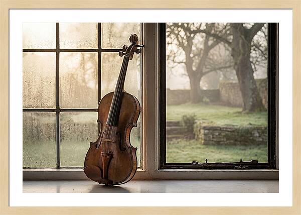 Violin By The Window