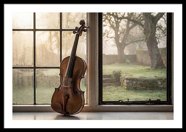 Violin By The Window
