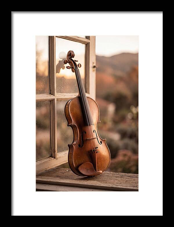 Violin Resting Against Window