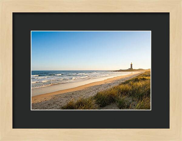 Virginia Beach Coastline Serenity