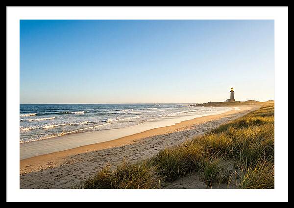 Virginia Beach Coastline Serenity