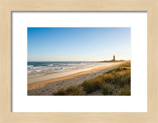 Virginia Beach Coastline Serenity