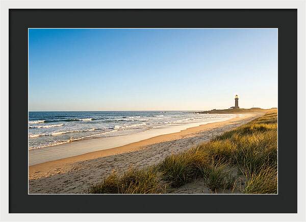 Virginia Beach Coastline Serenity