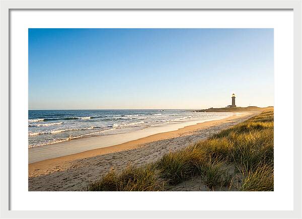 Virginia Beach Coastline Serenity