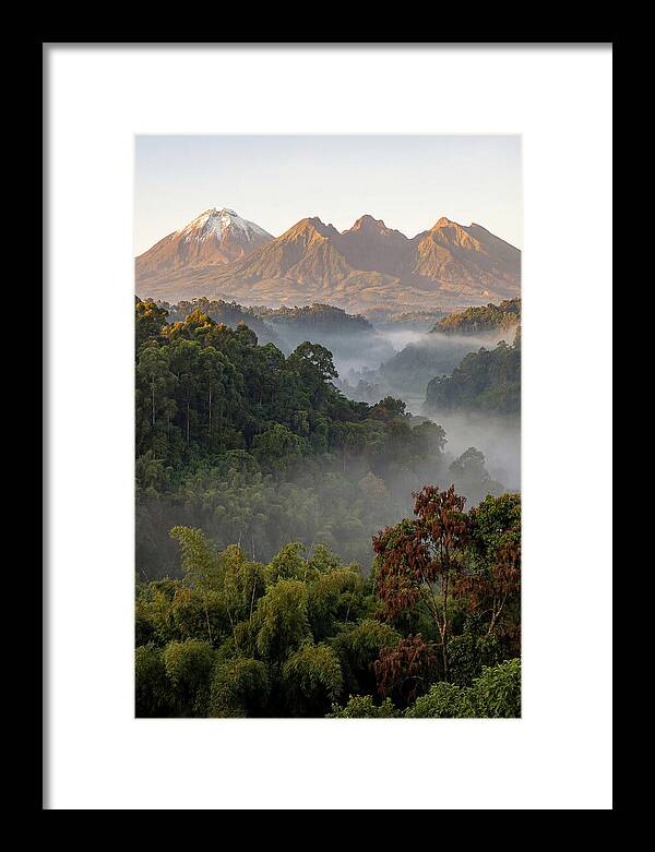Virunga Volcanoes At Sunrise