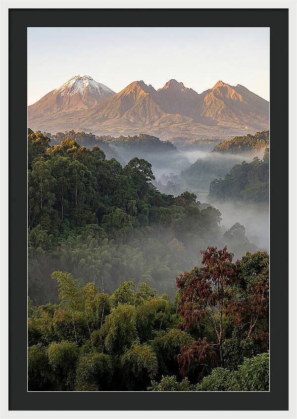 Virunga Volcanoes At Sunrise