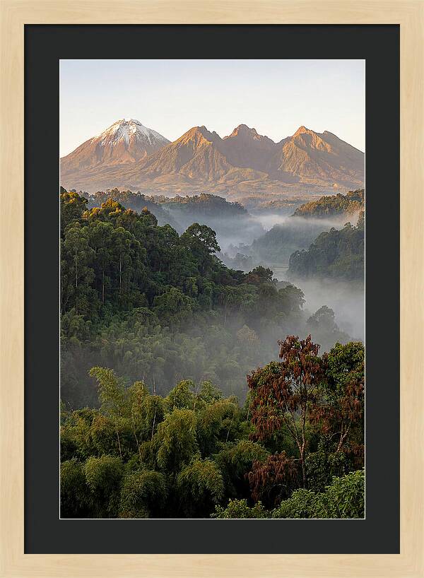 Virunga Volcanoes At Sunrise