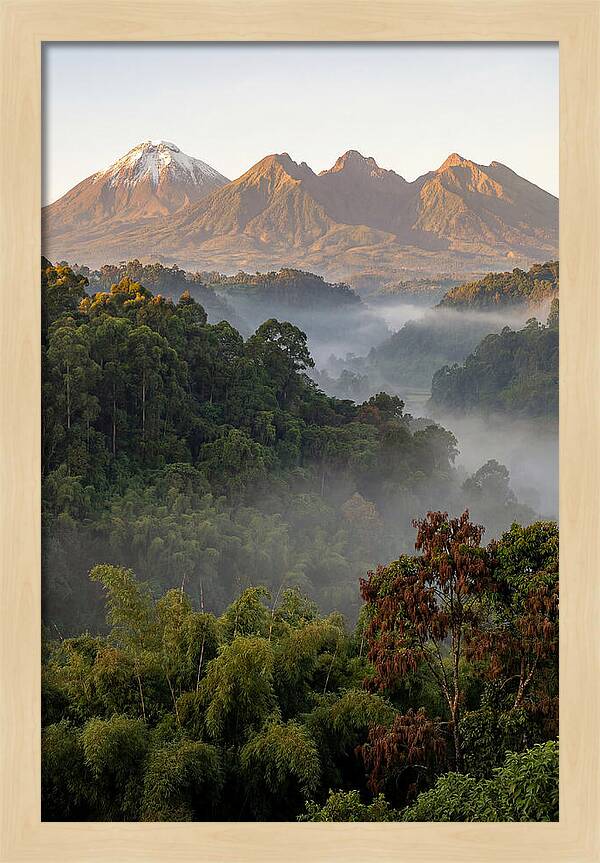 Virunga Volcanoes At Sunrise