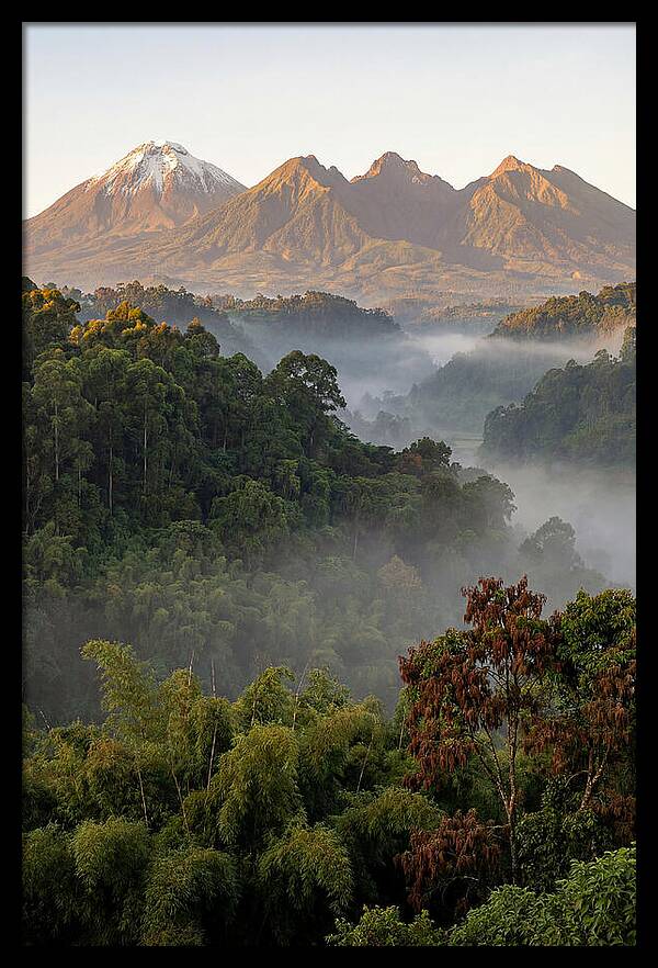 Virunga Volcanoes At Sunrise