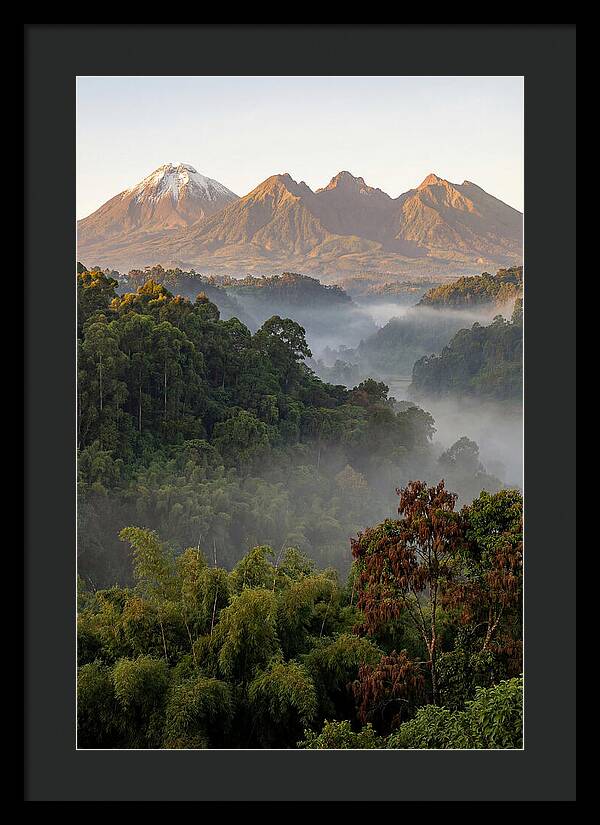 Virunga Volcanoes At Sunrise