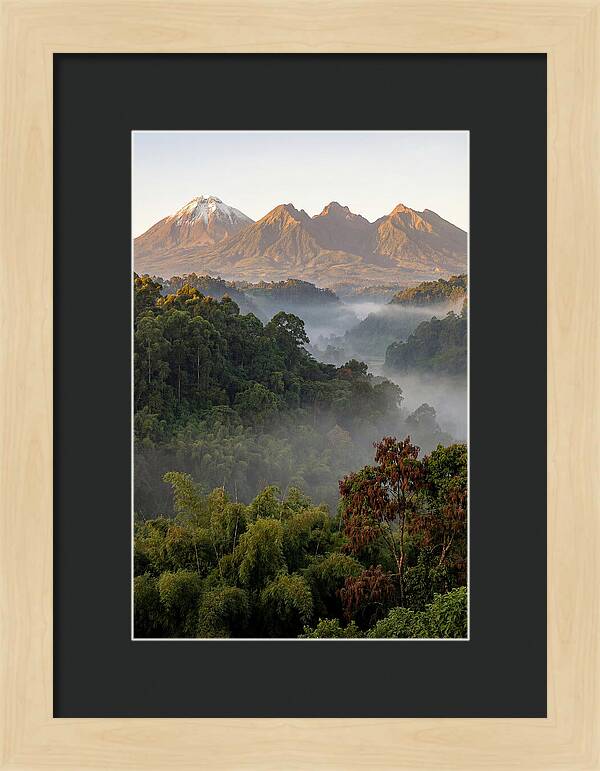 Virunga Volcanoes At Sunrise