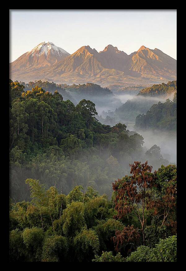 Virunga Volcanoes At Sunrise