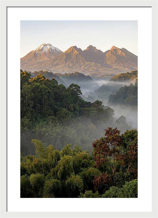 Virunga Volcanoes At Sunrise