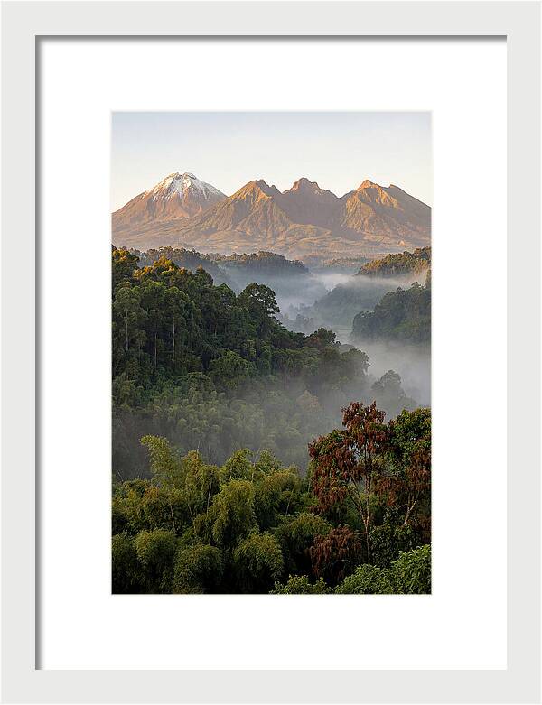 Virunga Volcanoes At Sunrise
