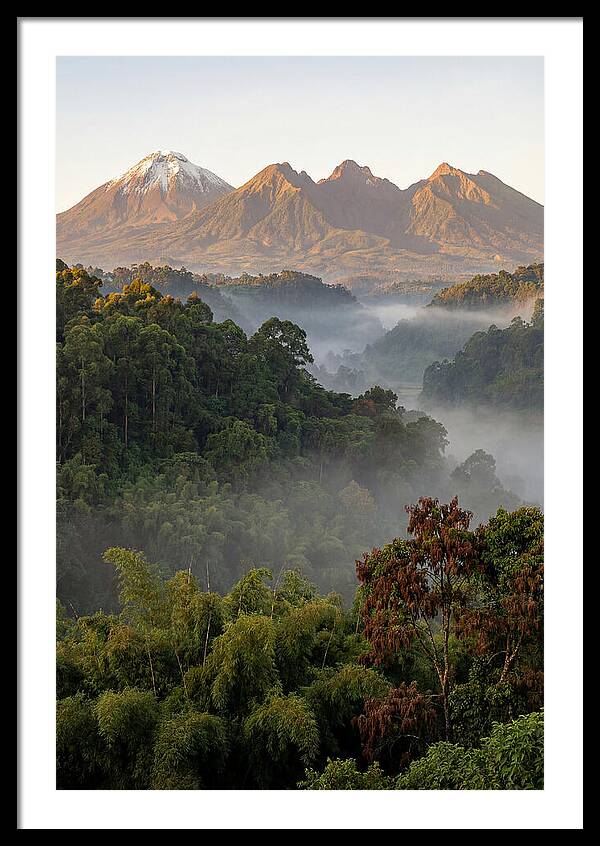 Virunga Volcanoes At Sunrise