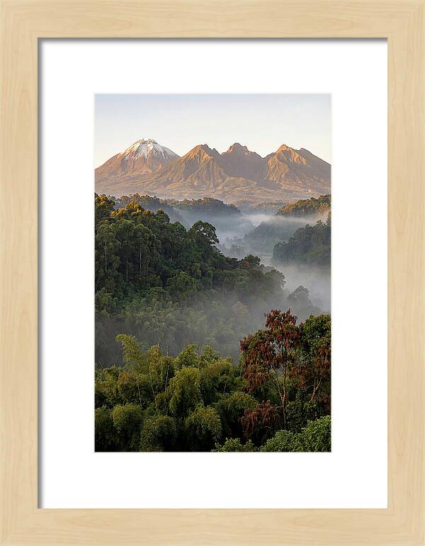 Virunga Volcanoes At Sunrise