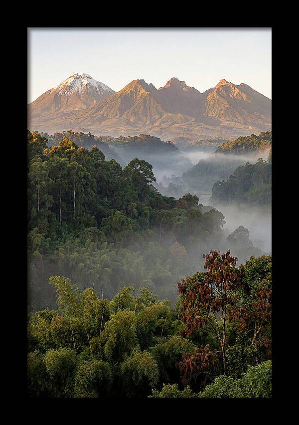 Virunga Volcanoes At Sunrise