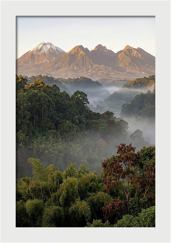 Virunga Volcanoes At Sunrise
