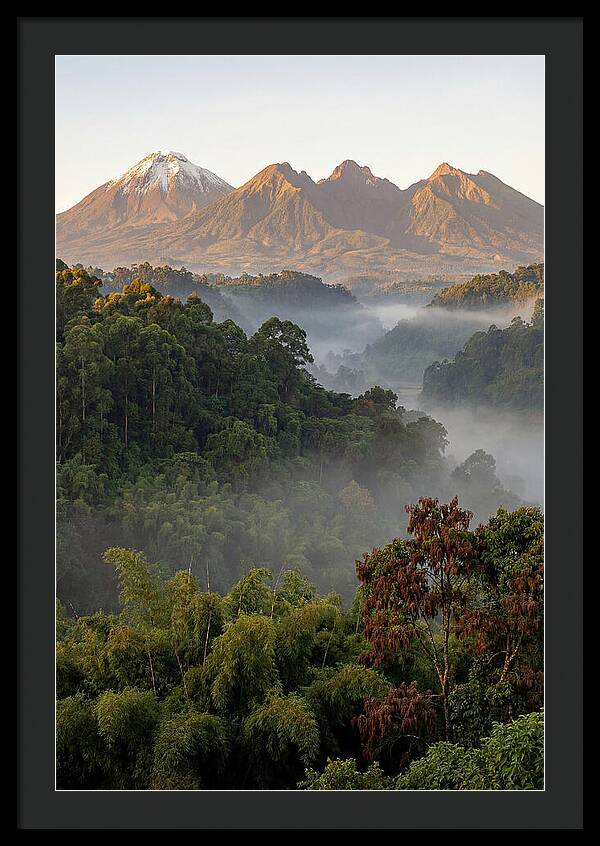 Virunga Volcanoes At Sunrise