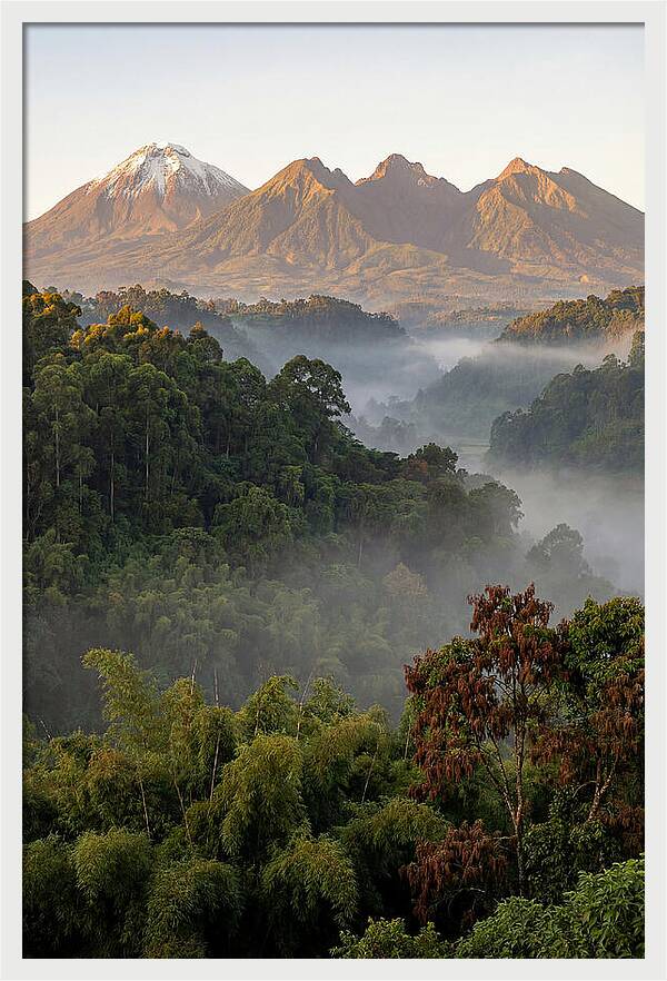Virunga Volcanoes At Sunrise