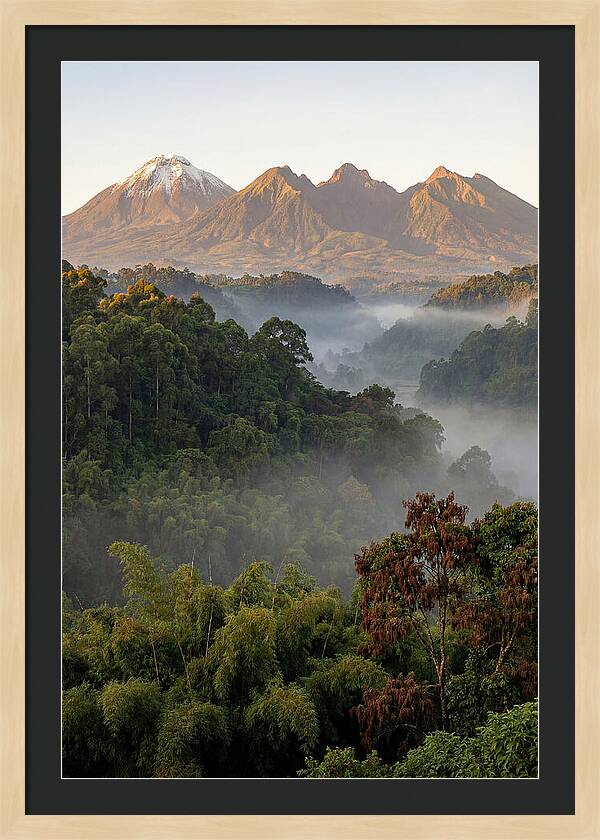 Virunga Volcanoes At Sunrise