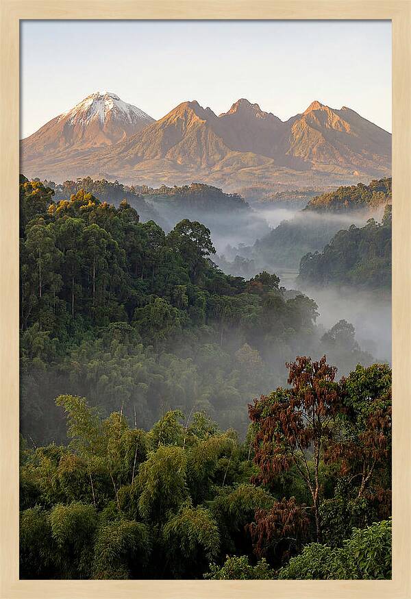 Virunga Volcanoes At Sunrise
