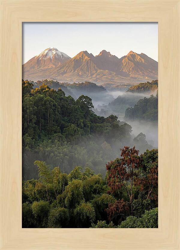 Virunga Volcanoes At Sunrise