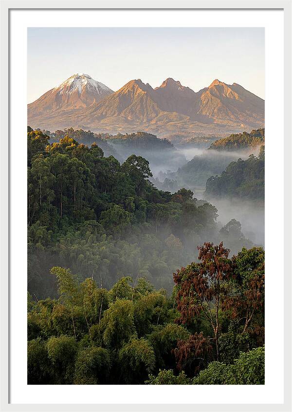 Virunga Volcanoes At Sunrise