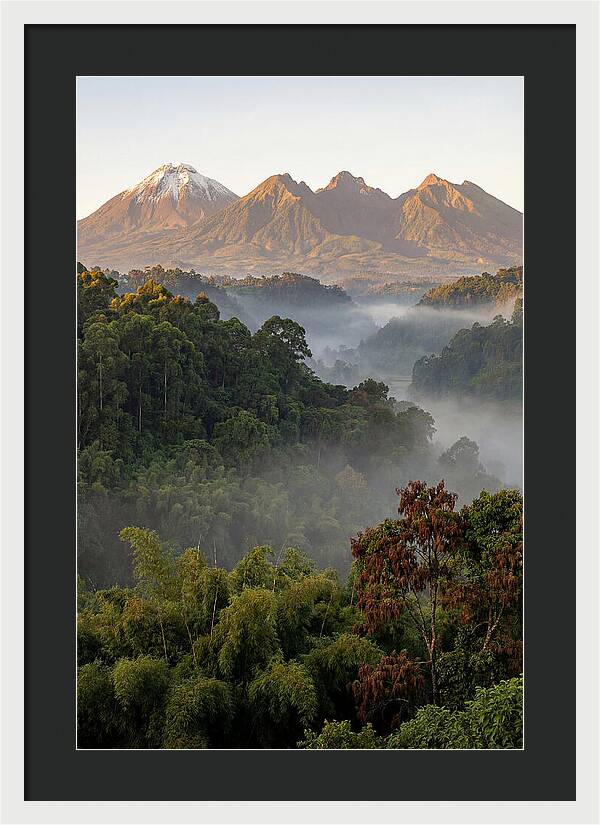 Virunga Volcanoes At Sunrise