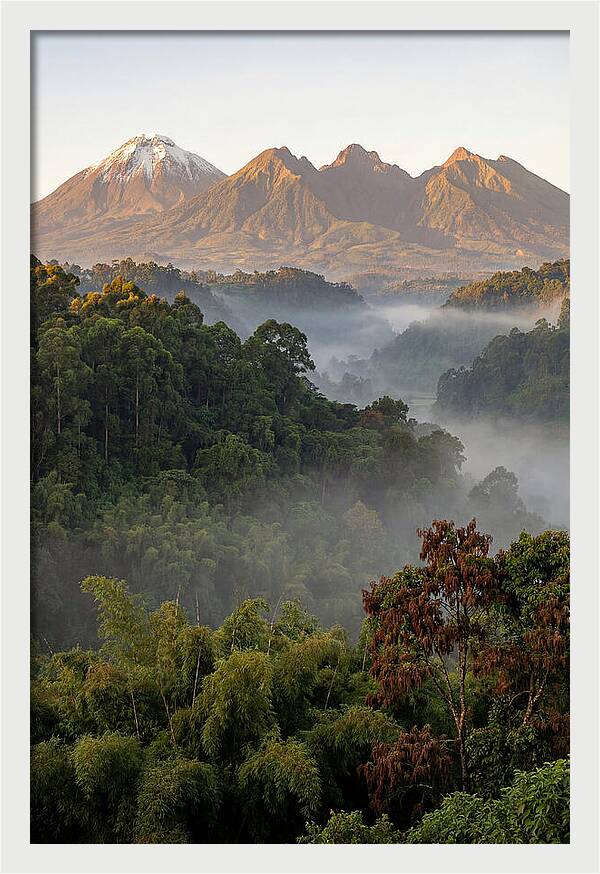 Virunga Volcanoes At Sunrise