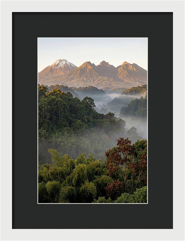 Virunga Volcanoes At Sunrise
