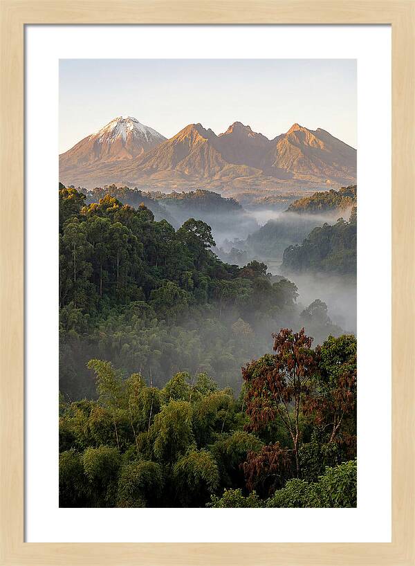 Virunga Volcanoes At Sunrise