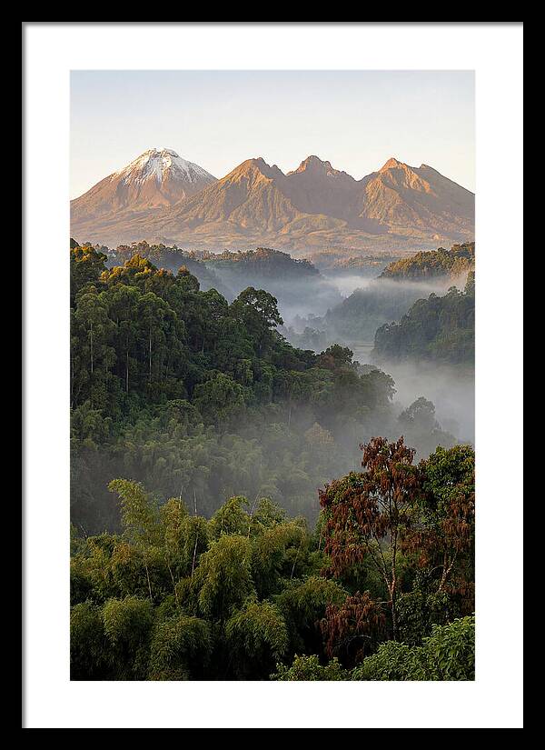 Virunga Volcanoes At Sunrise