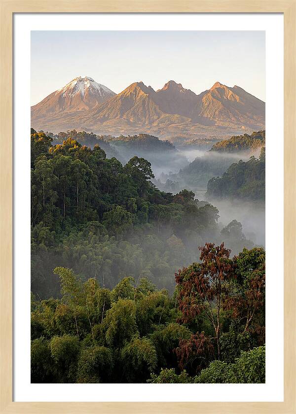 Virunga Volcanoes At Sunrise