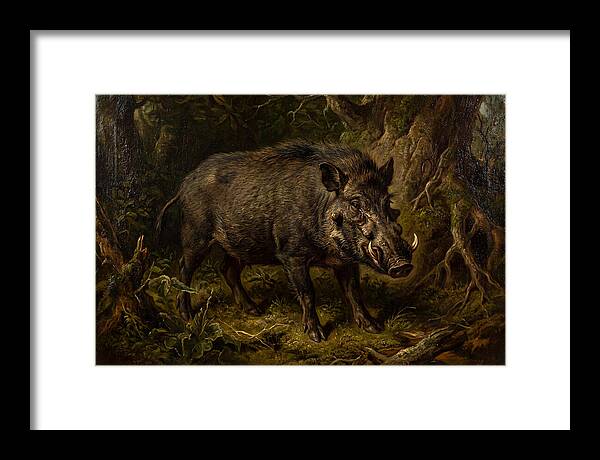 Visayan Warty Pig In Nature