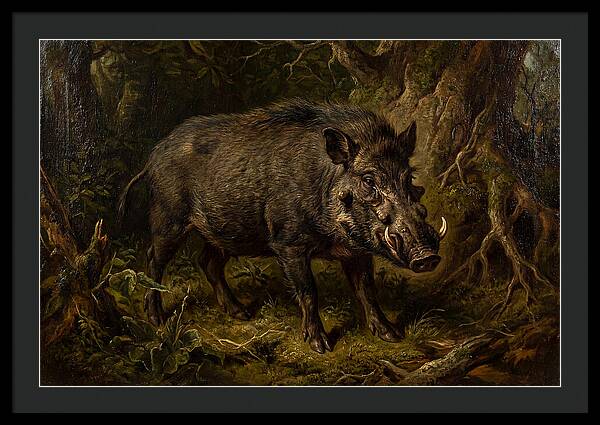 Visayan Warty Pig In Nature