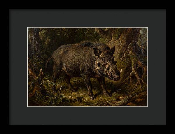 Visayan Warty Pig In Nature