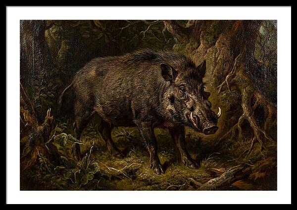 Visayan Warty Pig In Nature