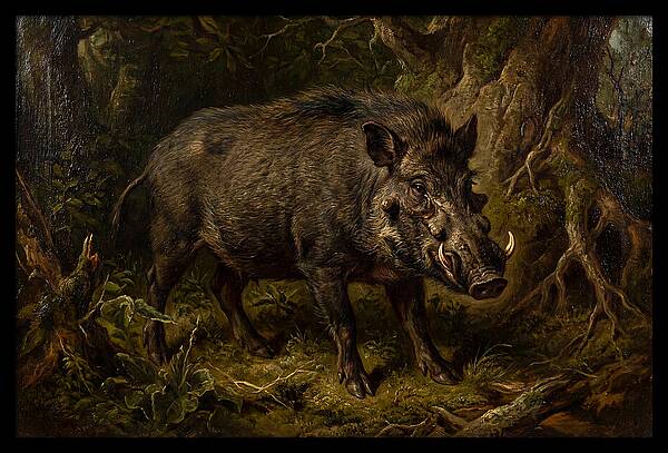 Visayan Warty Pig In Nature