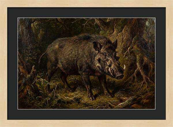 Visayan Warty Pig In Nature