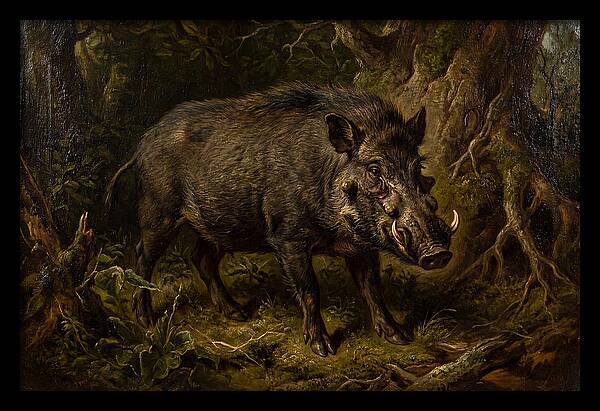 Visayan Warty Pig In Nature
