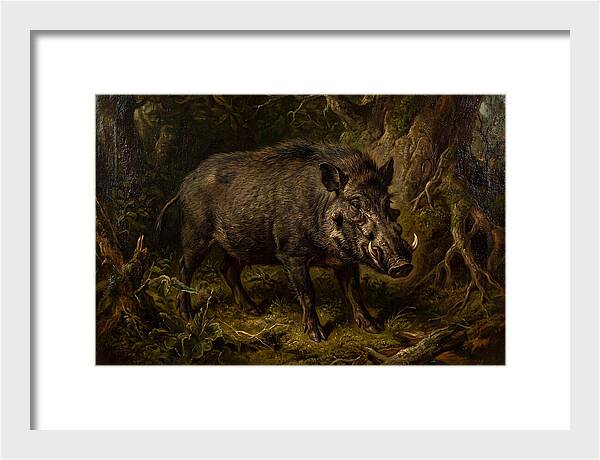 Visayan Warty Pig In Nature