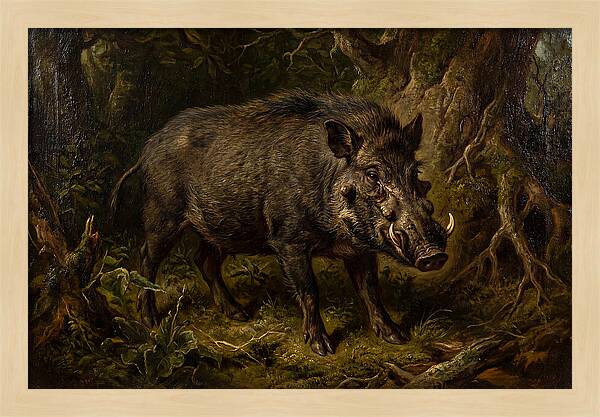 Visayan Warty Pig In Nature
