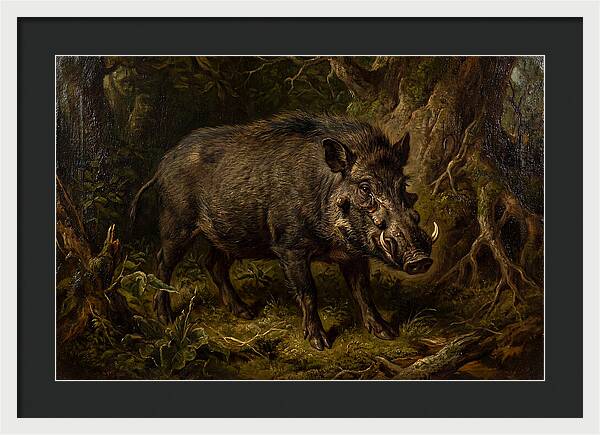 Visayan Warty Pig In Nature